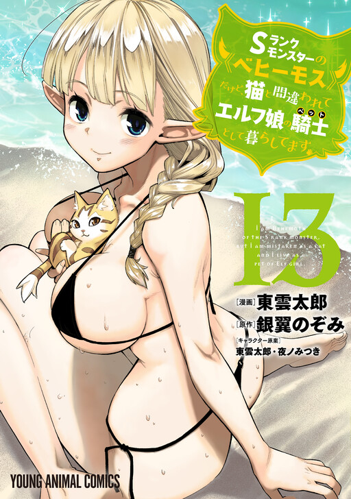 Tome 13