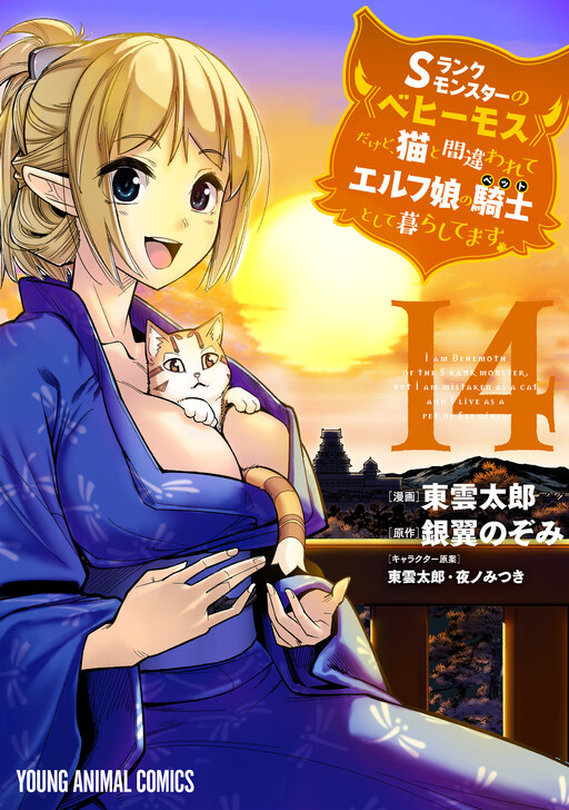 Tome 14