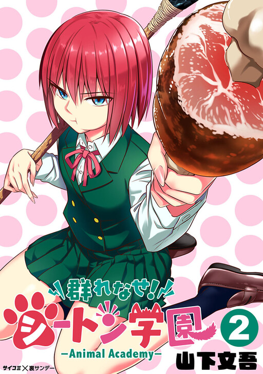 Tome 8