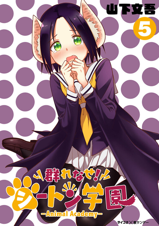 Tome 11