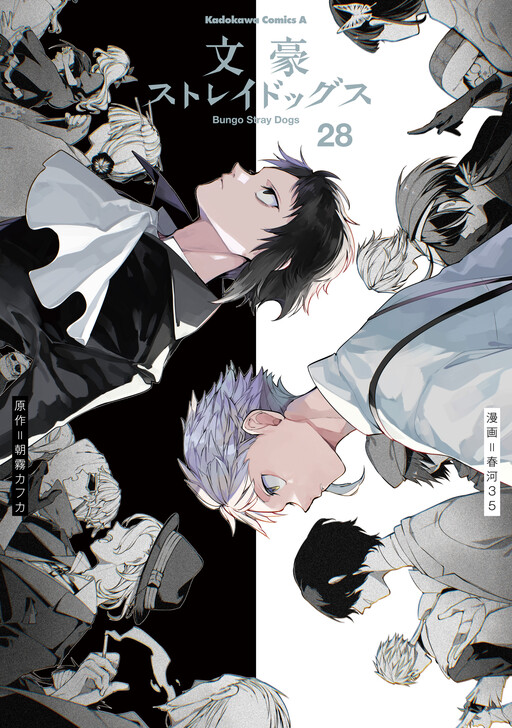 Tome 28