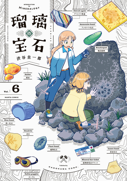 Tome 6
