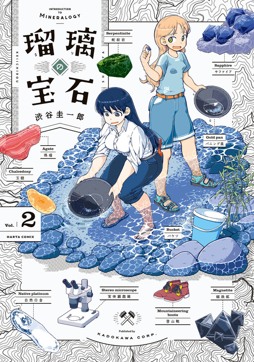 Tome 2