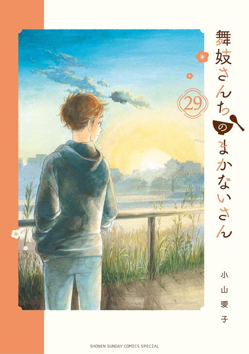 Tome 29