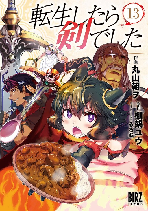 Tome 13