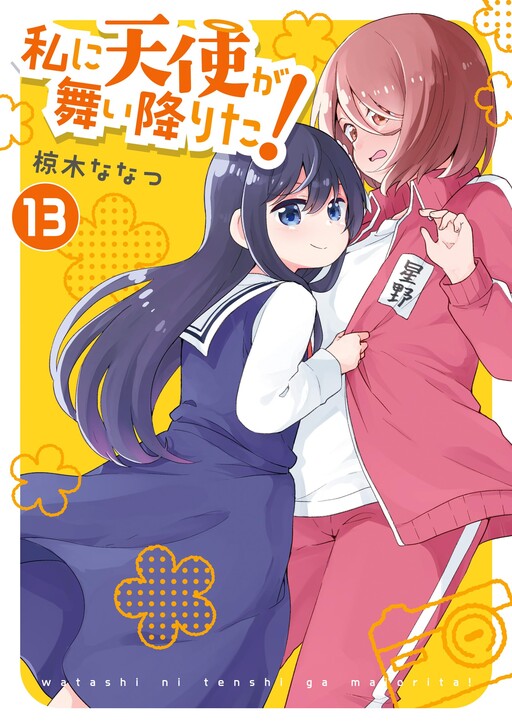 Tome 13