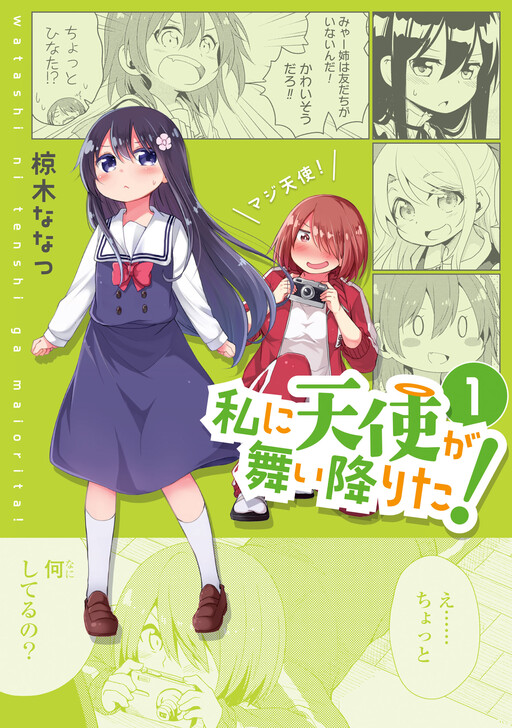 Tome 1