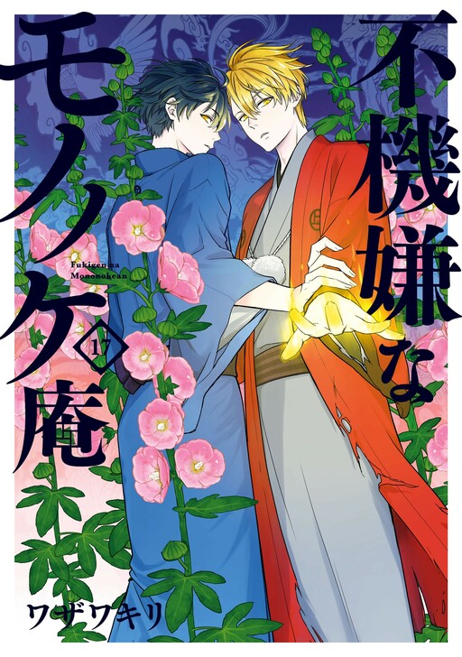 Tome 17