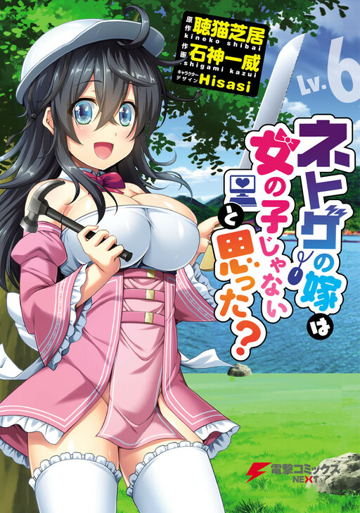 Tome 6