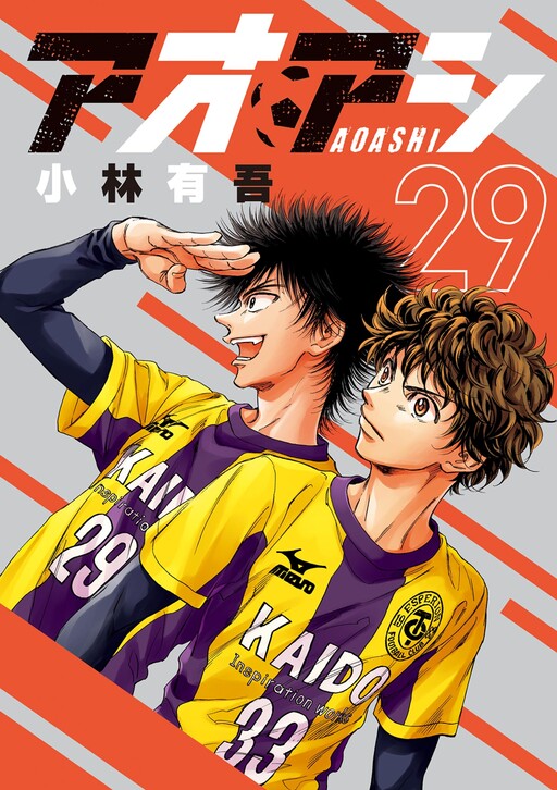 Tome 29