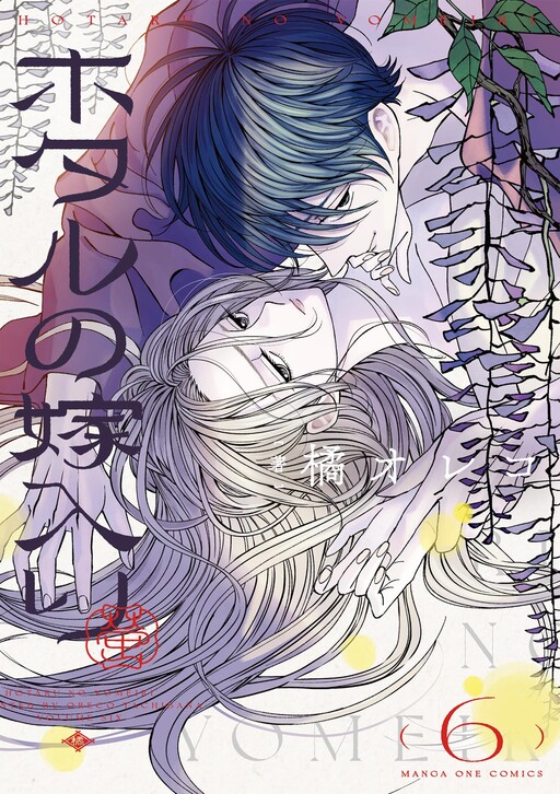 Tome 6
